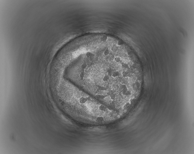 X0000113760721200910141047