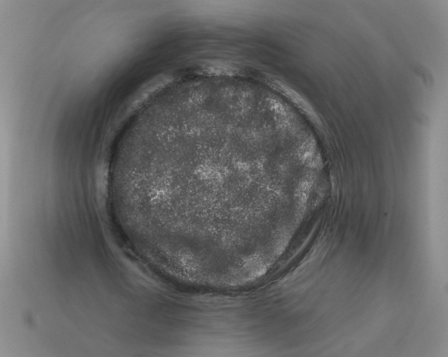 X0000113760722200910141047