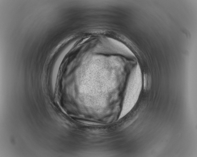 X0000113760723200910141047