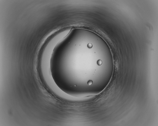 X0000113760724200910141047