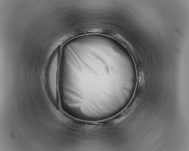 X0000113760725200910141047