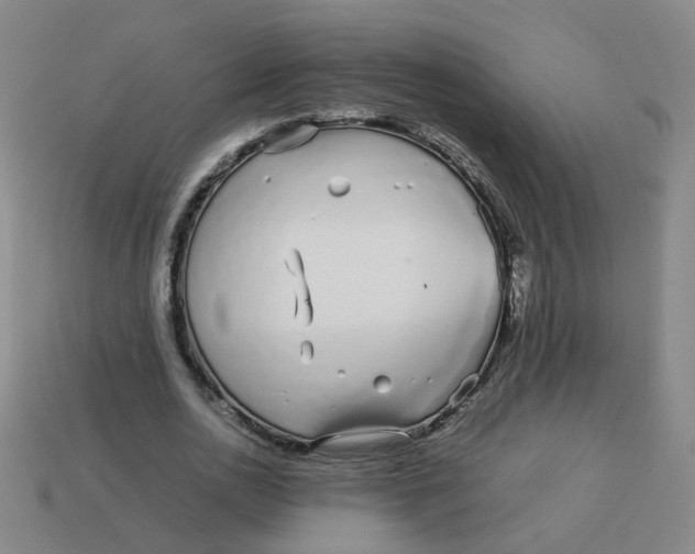 X0000113760726200910141047