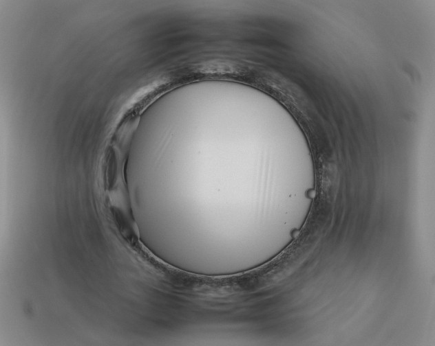 X0000113760727200910141047