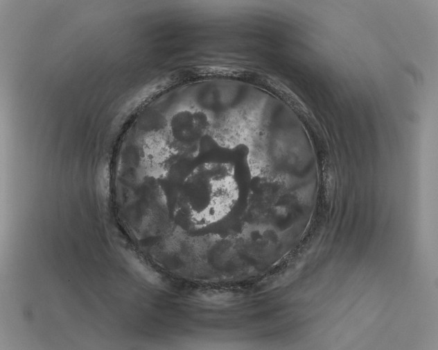 X0000113760729200910141047