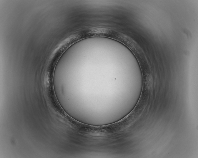 X0000113760731200910141047