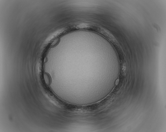 X0000113760732200910141047