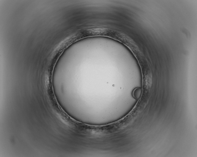 X0000113760733200910141047