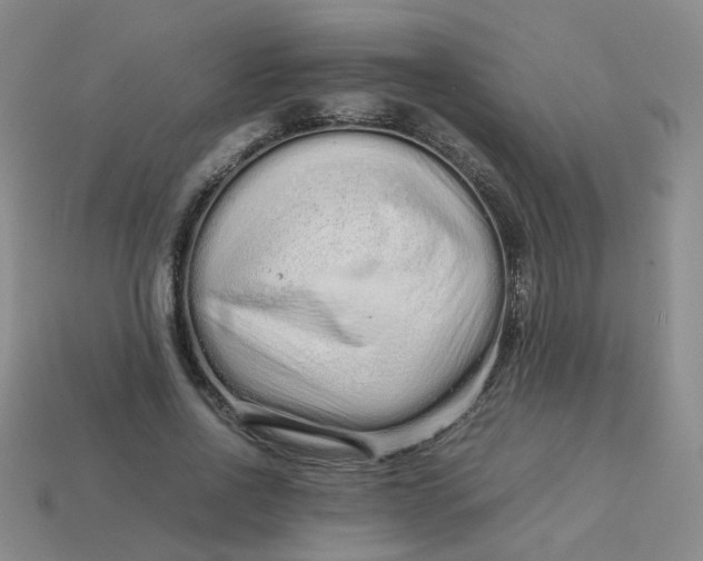 X0000113760734200910141047