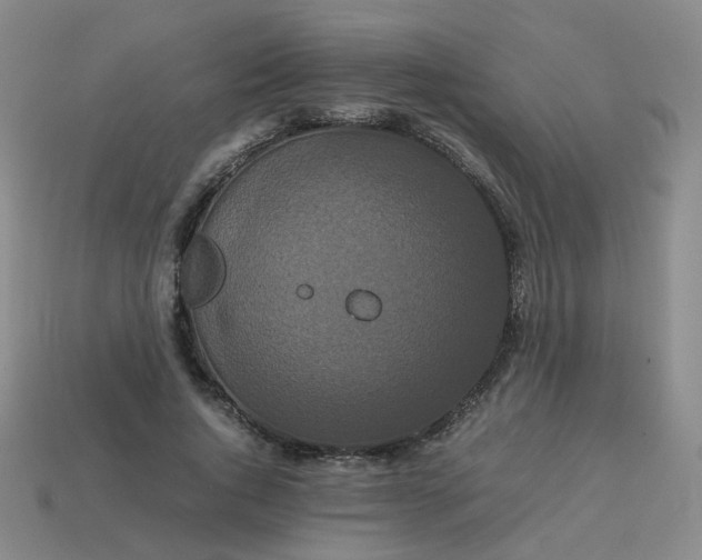 X0000113760736200910141048