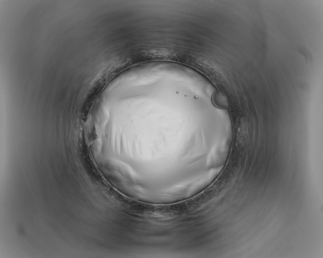 X0000113760739200910141048