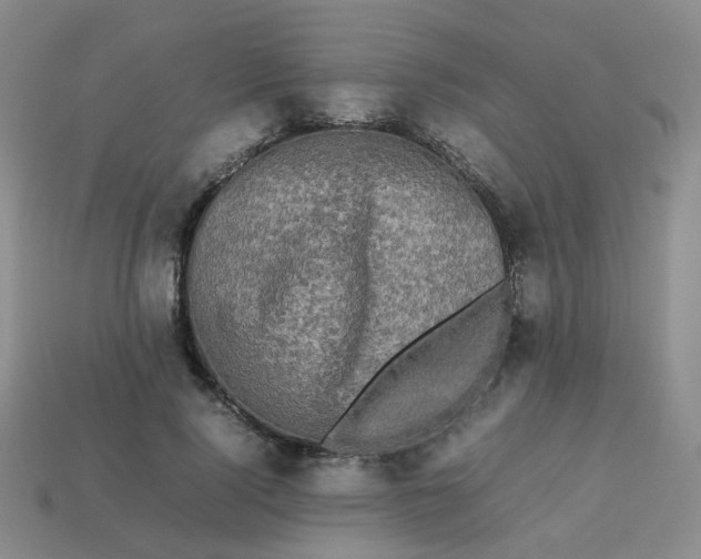 X0000113760740200910141048