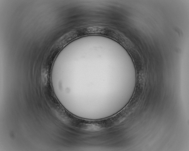 X0000113760741200910141048