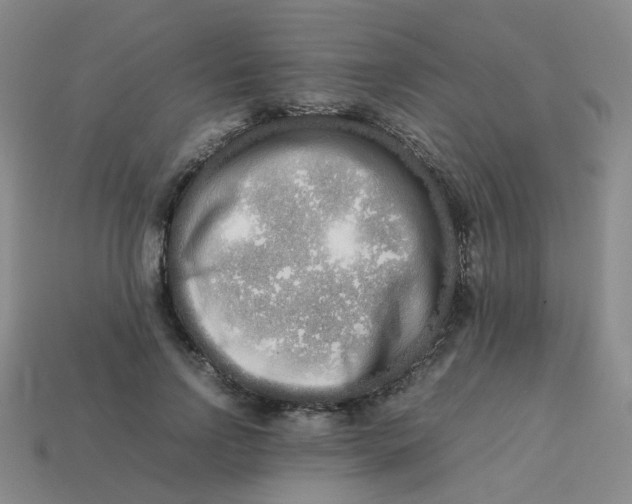 X0000113760742200910141048