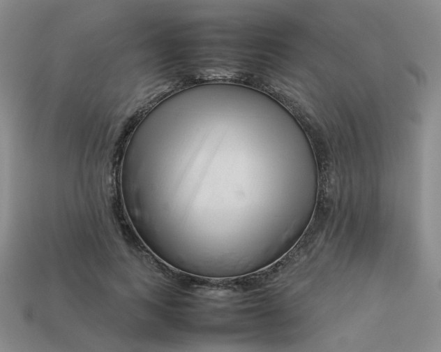 X0000113760743200910141048