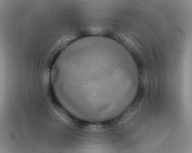 X0000113760744200910141048