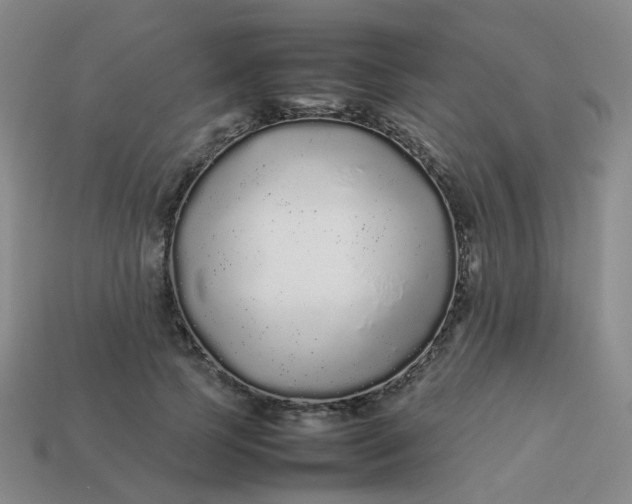 X0000113760745200910141048