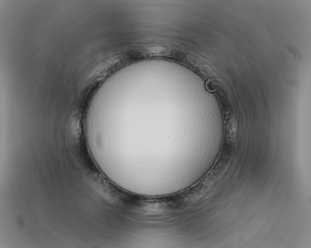 X0000113760746200910141048