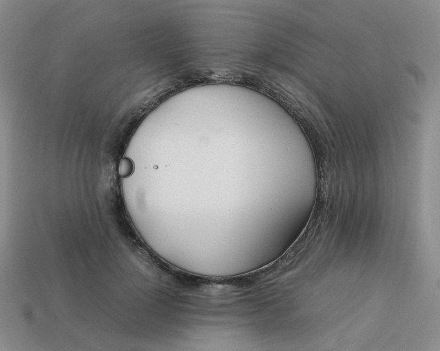 X0000113760748200910141048