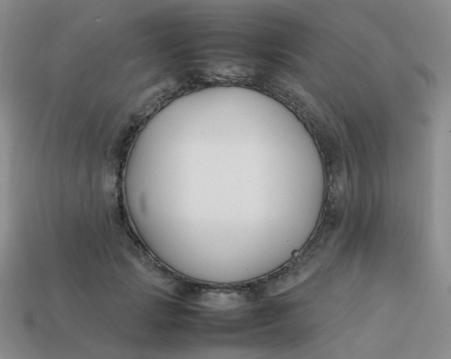 X0000113760749200910141048