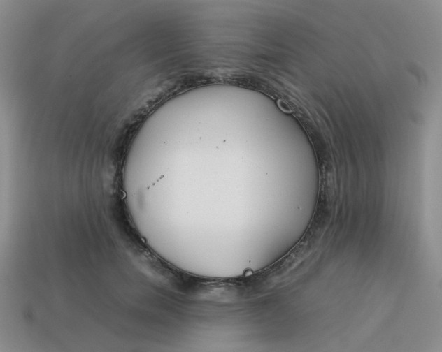 X0000113760750200910141048