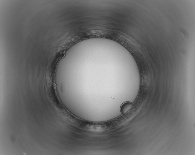 X0000113760751200910141048