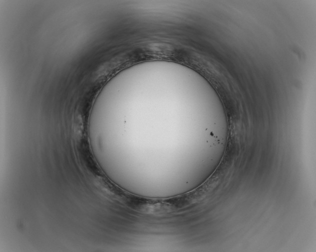 X0000113760752200910141048