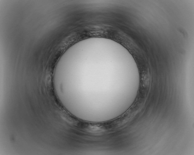 X0000113760753200910141048