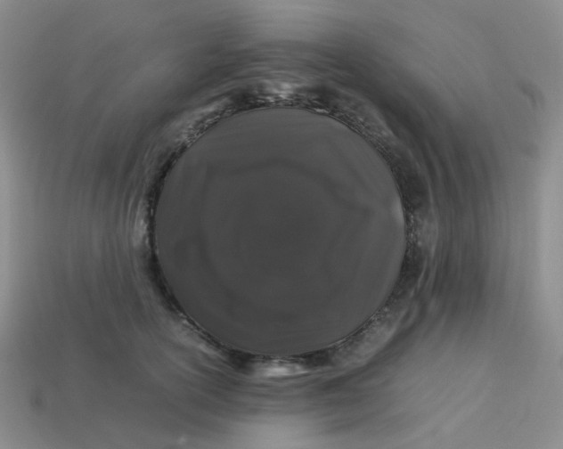 X0000113760754200910141048