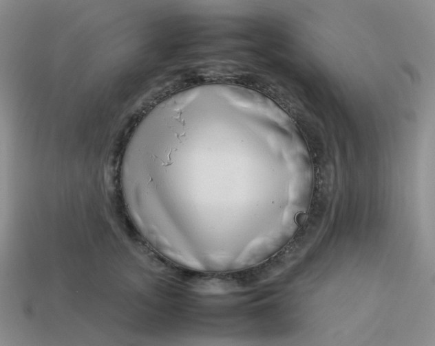 X0000113760755200910141048