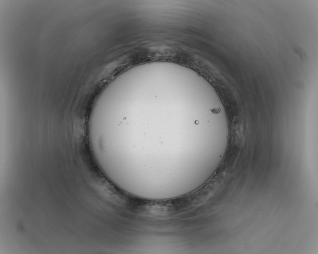 X0000113760756200910141048