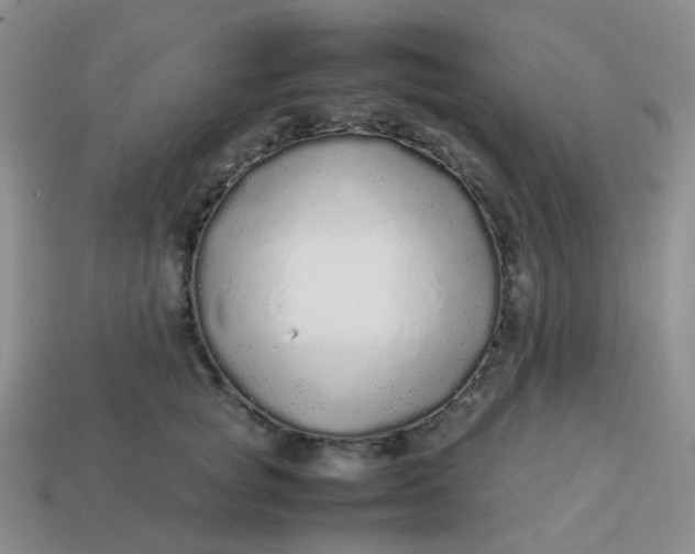 X0000113760757200910141048