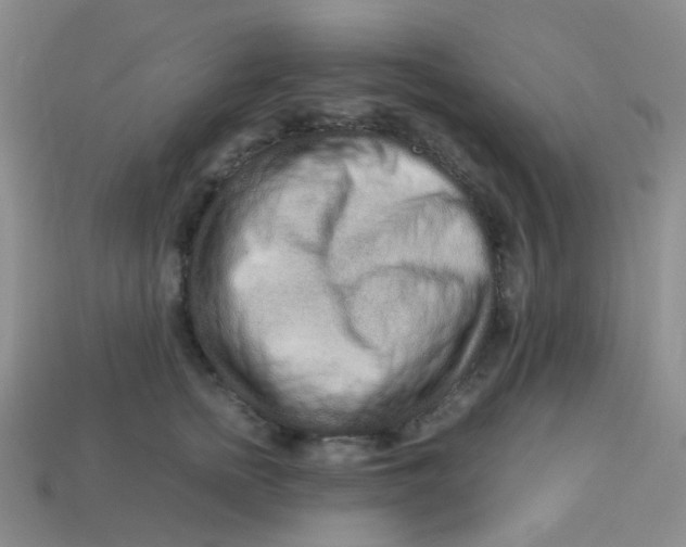 X0000113760758200910141048