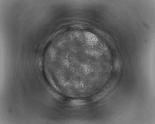 X0000113760759200910141048