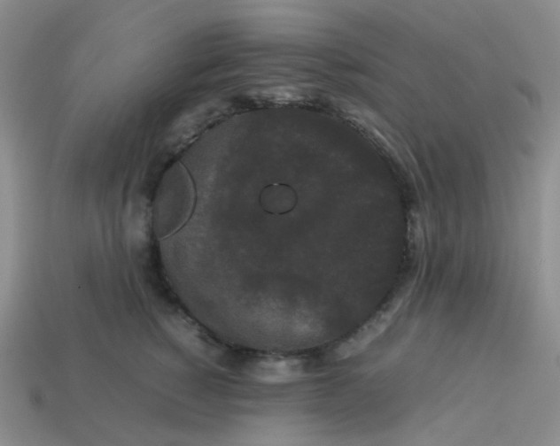 X0000113760760200910141048