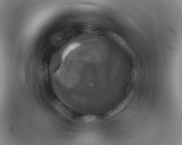 X0000113760762200910141048