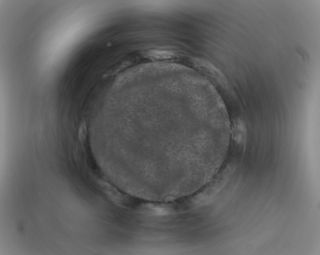 X0000113760763200910141048