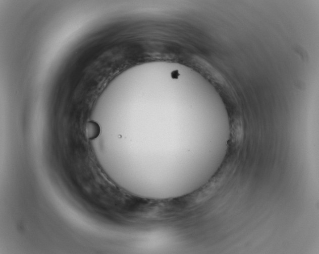 X0000113760764200910141048