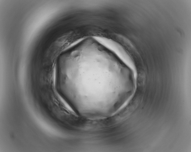 X0000113760765200910141048