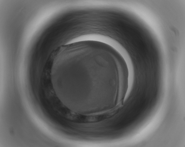 X0000113760766200910141048