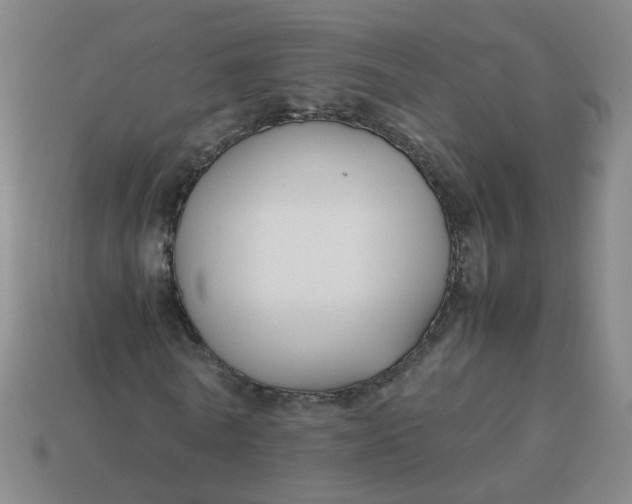 X0000113760770200910141047