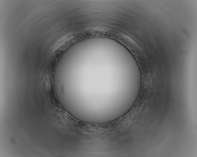 X0000113760774200910141047