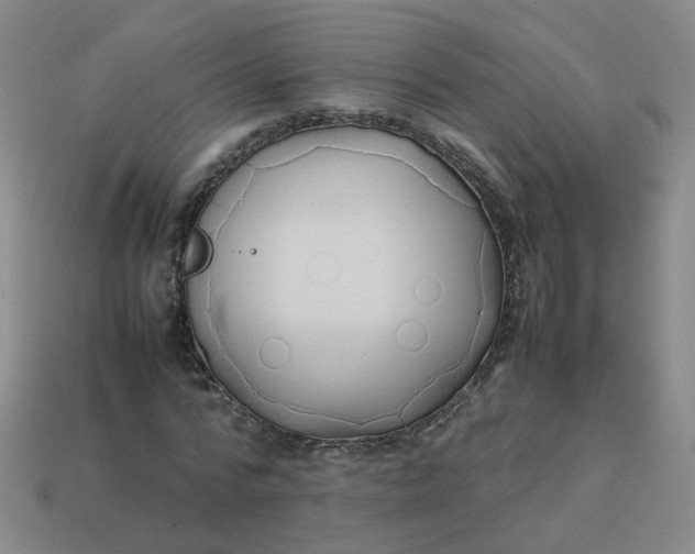 X0000113760776200910141047