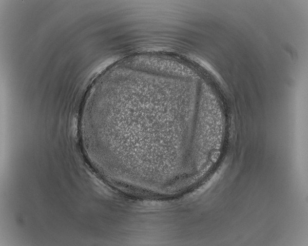 X0000113760777200910141047