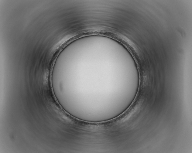 X0000113760778200910141047