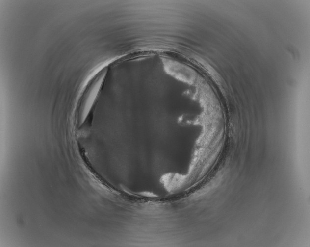 X0000113760779200910141047