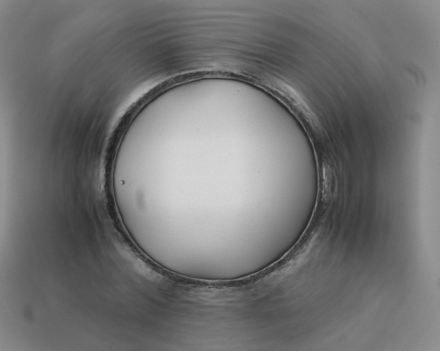 X0000113760780200910141047