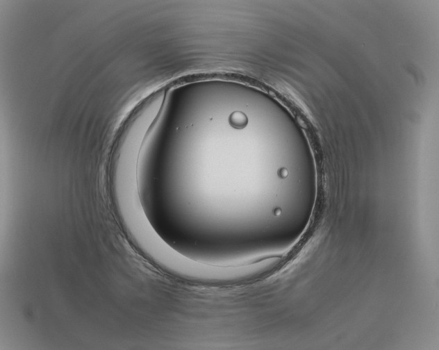 X0000113760781200910141047