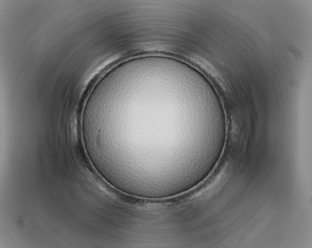 X0000113760782200910141047