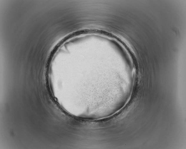 X0000113760783200910141047