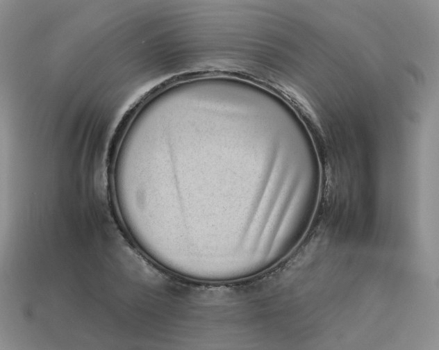 X0000113760784200910141047